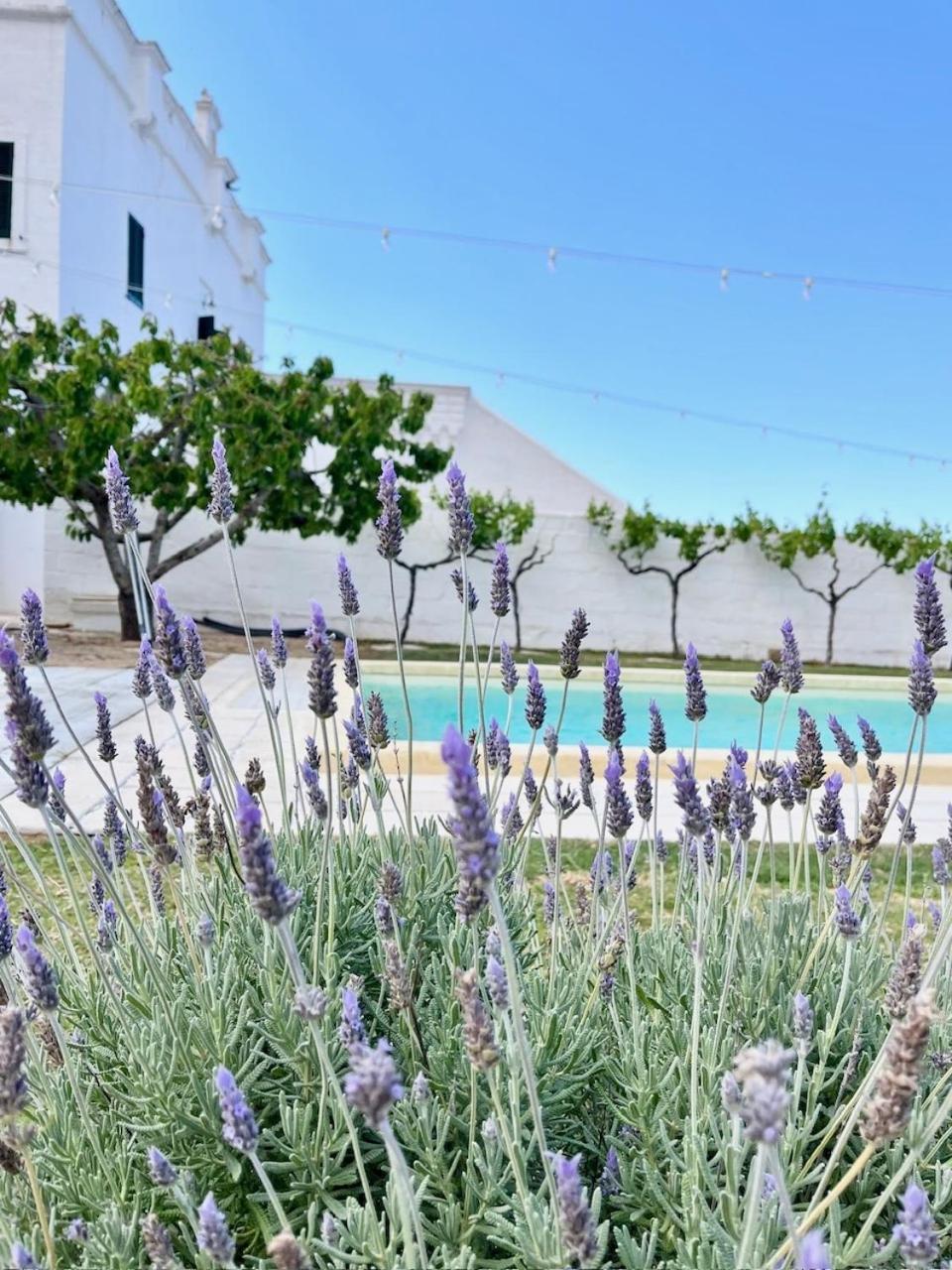 مونوبولي Masseria Mammella المظهر الخارجي الصورة