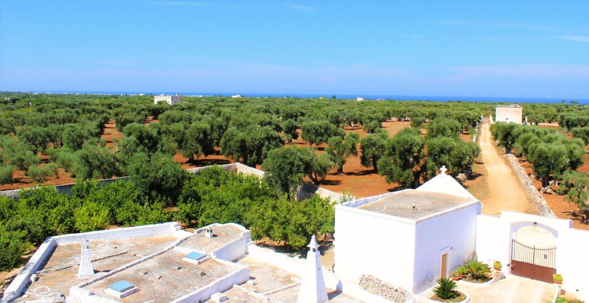 مونوبولي Masseria Mammella المظهر الخارجي الصورة