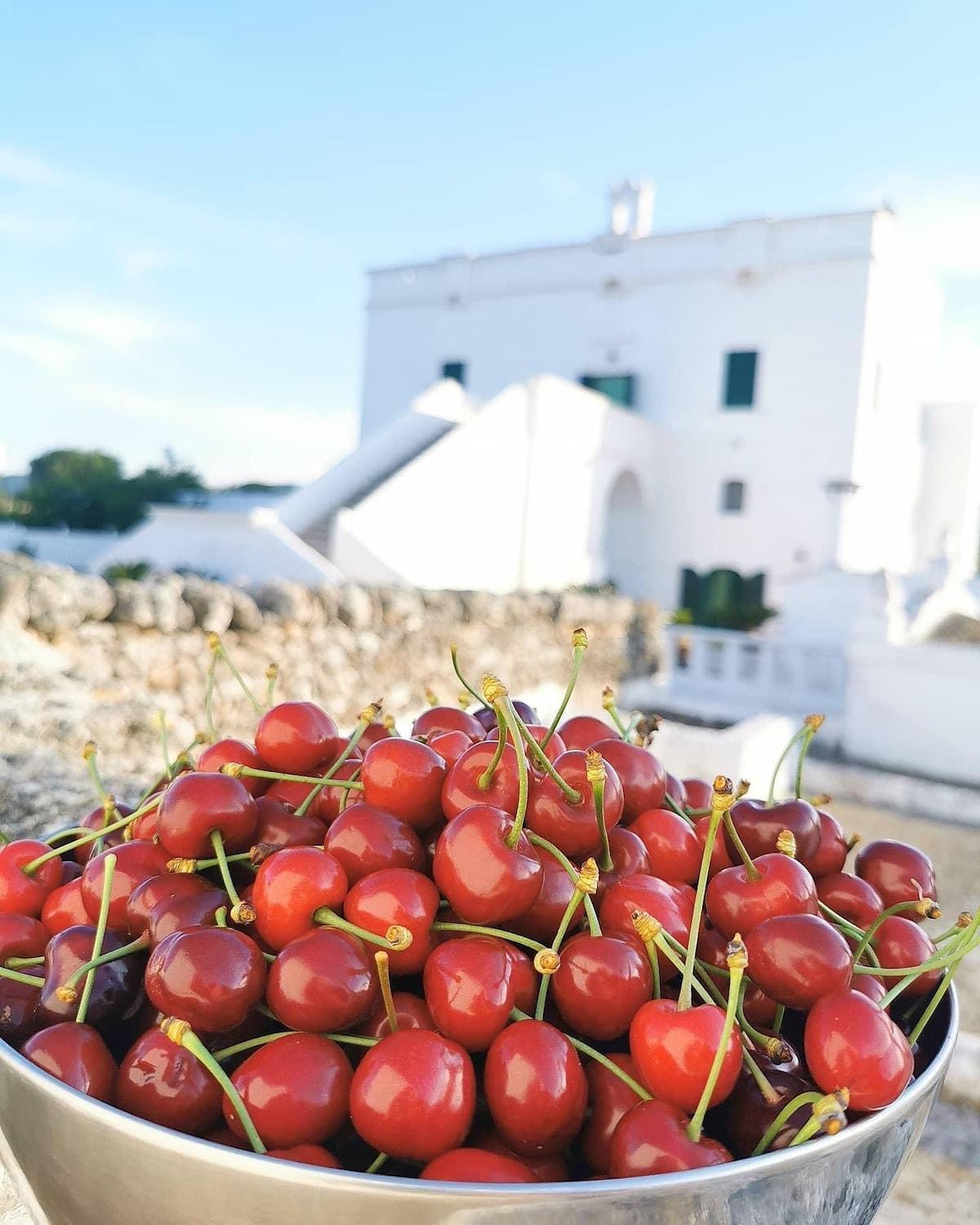 مونوبولي Masseria Mammella المظهر الخارجي الصورة