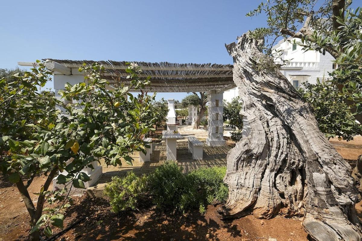مونوبولي Masseria Mammella المظهر الخارجي الصورة
